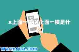 x上面一横(X上面一横是什么)