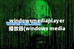 windowediaplayer播放器(windows media player播放器在哪)