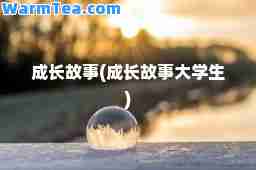 成长故事(成长故事大学生)