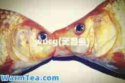 wucg(武昌鱼)