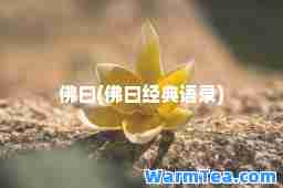 佛曰(佛曰经典语录)
