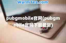 pubgmobile官网(pubgmobile官网下载)