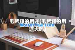 电烤箱的用途(电烤箱的用途大吗)