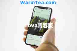 nova青春版