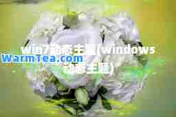 win7动态主题(windows动态主题)