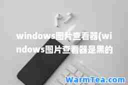 windows图片查看器(windows图片查看器是黑的)