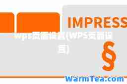 wps页面设置(WPS页面设置)