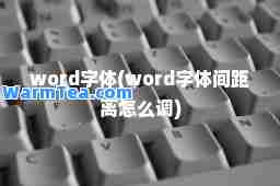 word字体(word字体间距离怎么调)