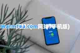 vr网球3(vr网球3手机版) vr网球3(vr网球3手机版)