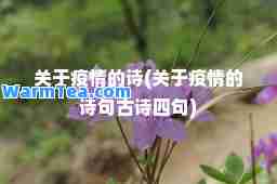 关于疫情的诗(关于疫情的诗句古诗四句)