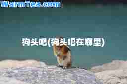 狗头吧(狗头吧在哪里) 狗头吧(狗头吧在哪里)