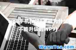 wp8手机(WP8手机为什么不能升级到WP9)
