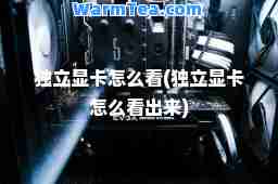 独立显卡怎么看(独立显卡怎么看出来)