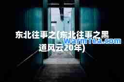 东北往事之(东北往事之黑道风云20年)