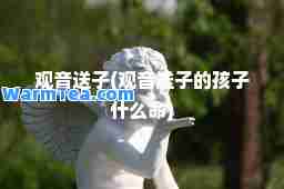 观音送子(观音送子的孩子什么)