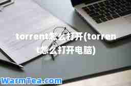 torrent怎么打开(torrent怎么打开电脑)