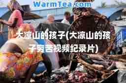 大凉山的孩子(大凉山的孩子穷苦视频纪录片)