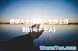 感谢人生(感谢人生路上遇到的每一个人)