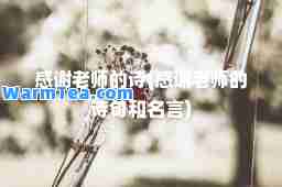 感谢老师的诗(感谢老师的诗句和名言)
