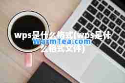 wps是什么格式(wps是什么格式文件)