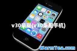 v30荣耀(v30荣耀手机)