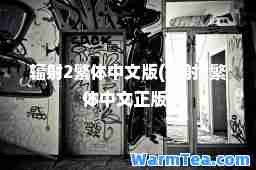 辐射2繁体中文版(辐射2繁体中文正版)
