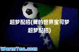 超梦配招(我的世界宝可梦超梦配招)