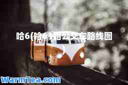 哈6(哈61路公交车路线图)