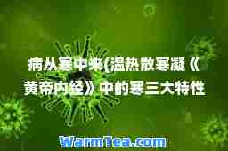 病从寒中来(温热散寒凝《黄帝内经》中的寒三大特性)