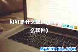 钉钉是什么软件(钉钉是什么软件)