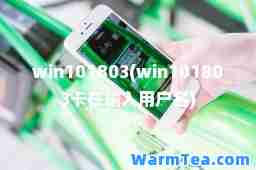 win101803(win101803卡在输入用户名)
