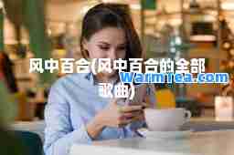 风中百(风中百的全部歌曲)