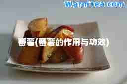 蕃薯(蕃薯的作用与功效)