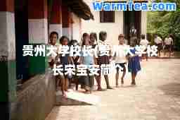 贵州大学校长(贵州大学校长宋宝安简介)