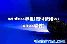 winhex教程(如何使用winhex软件)