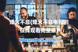 烽火不息(烽火不息电视剧在线观看完整版)