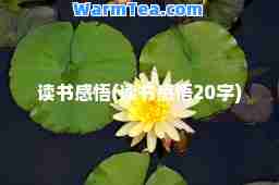 读书感悟(读书感悟20字)