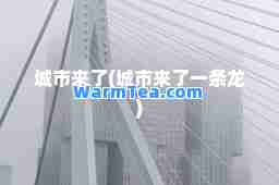 城市来了(城市来了一条龙)