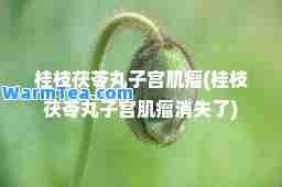 桂枝茯苓丸子宫肌瘤(桂枝茯苓丸子宫肌瘤消失了)
