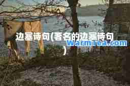 边塞诗句(著名的边塞诗句)