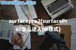 surfacepro2(surfacePro2怎么进入pe模式)