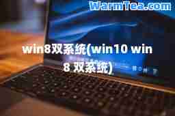 win8双系统(win10 win8 双系统)
