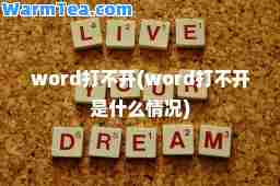 word打不开(word打不开是什么情况)