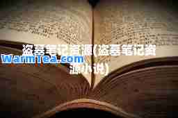 盗墓笔记资源(盗墓笔记资源小说)