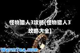 怪物猎人3攻略(怪物猎人3攻略大全)