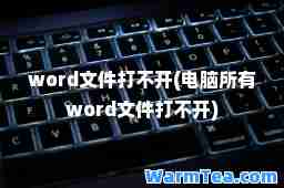 word文件打不开(电脑所有word文件打不开)