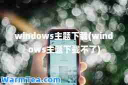 windows主题下载(windows主题下载不了)