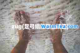 zug(足弓塌陷怎么矫正)