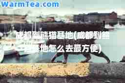 成都到熊猫基地(成都到熊猫基地怎么去最方便)