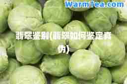 翡翠鉴别(翡翠如何鉴定真伪)